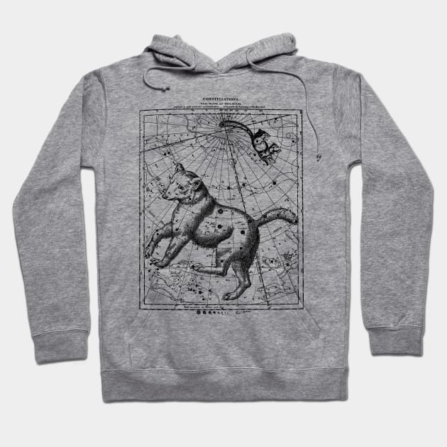 Ursa Major and Minor Constellation Map - Aesthetic, Astronomy, Space Hoodie by SpaceDogLaika